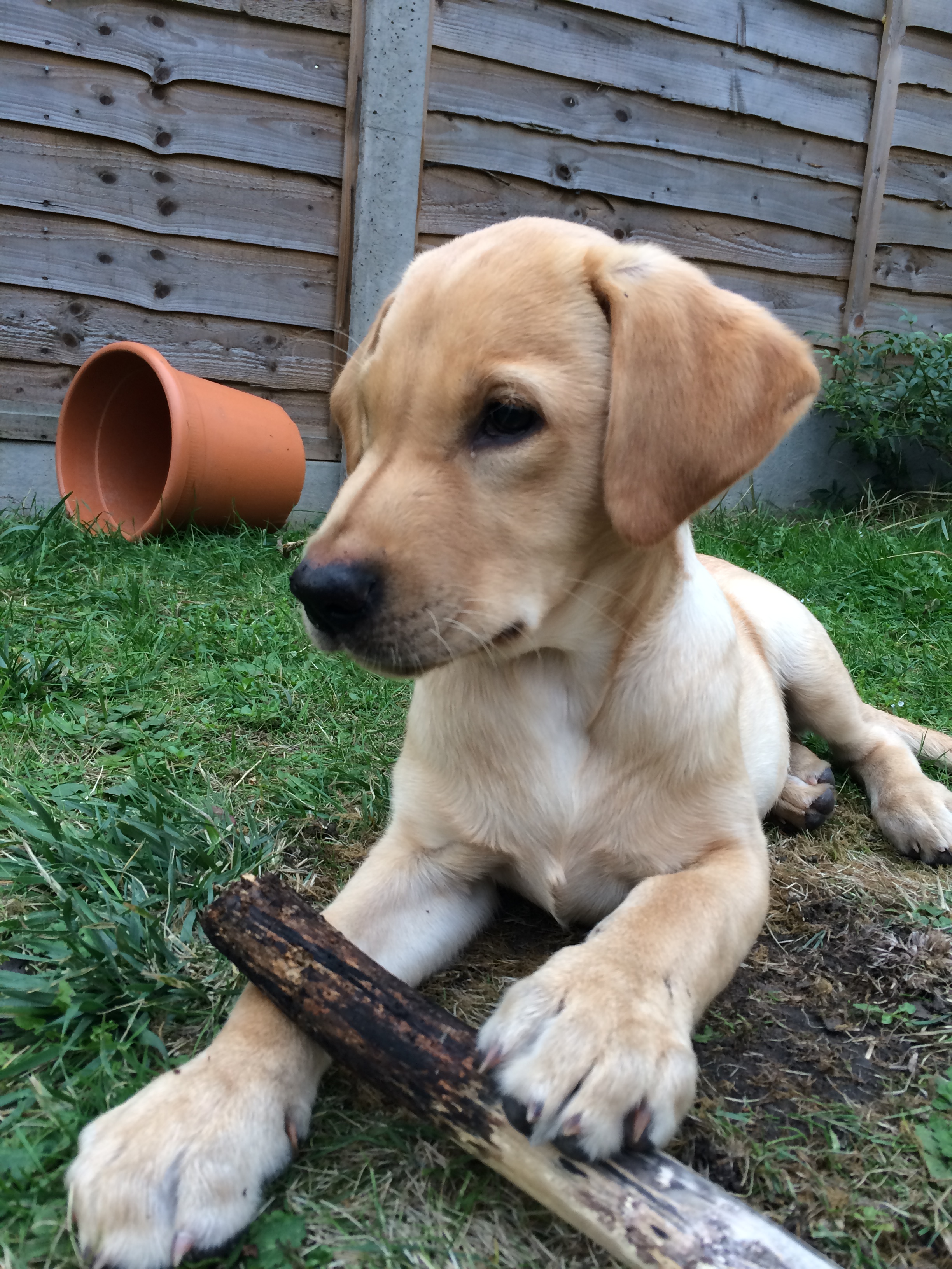 busy-damages-productivity