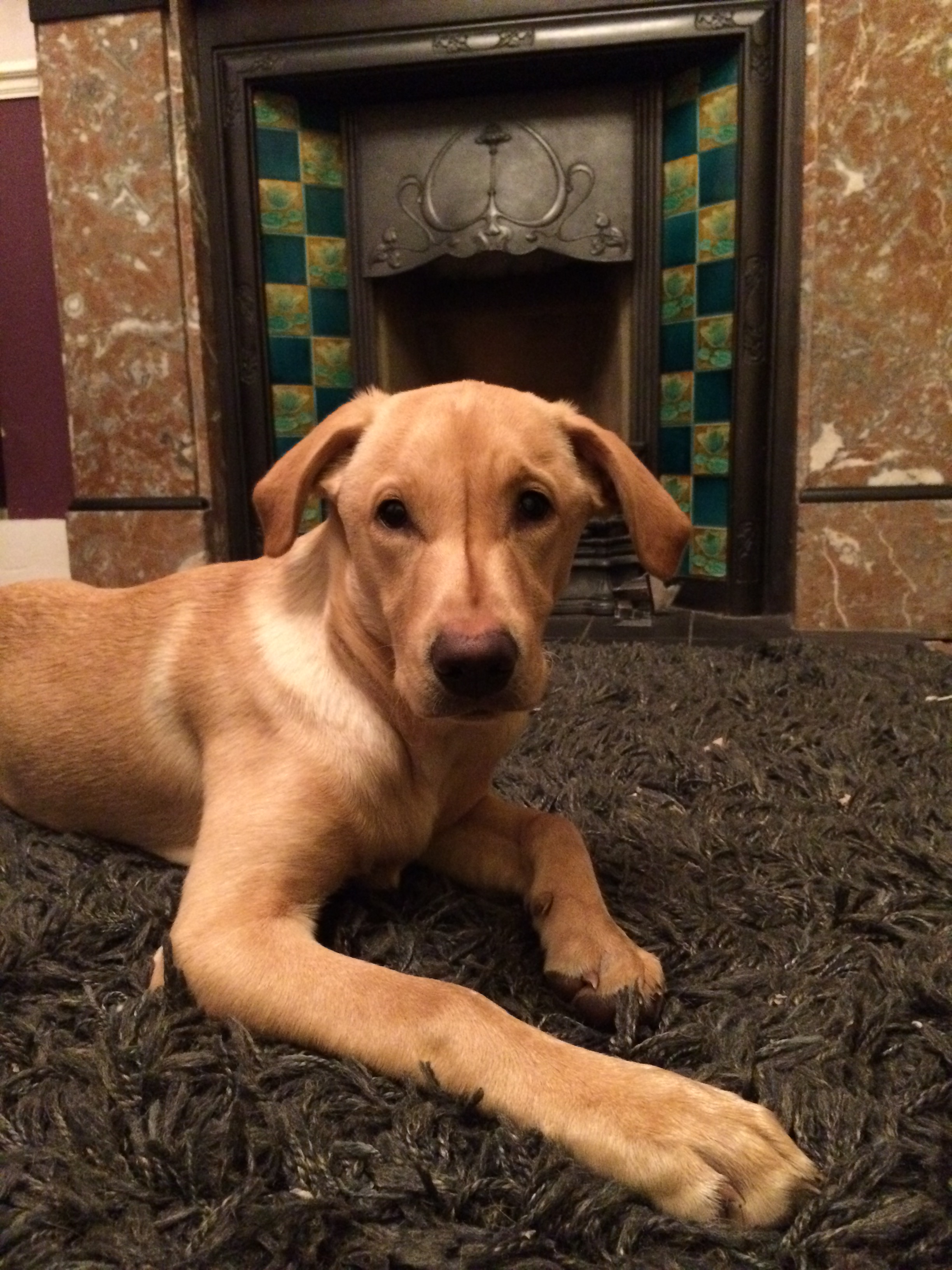 new-year-resolutions