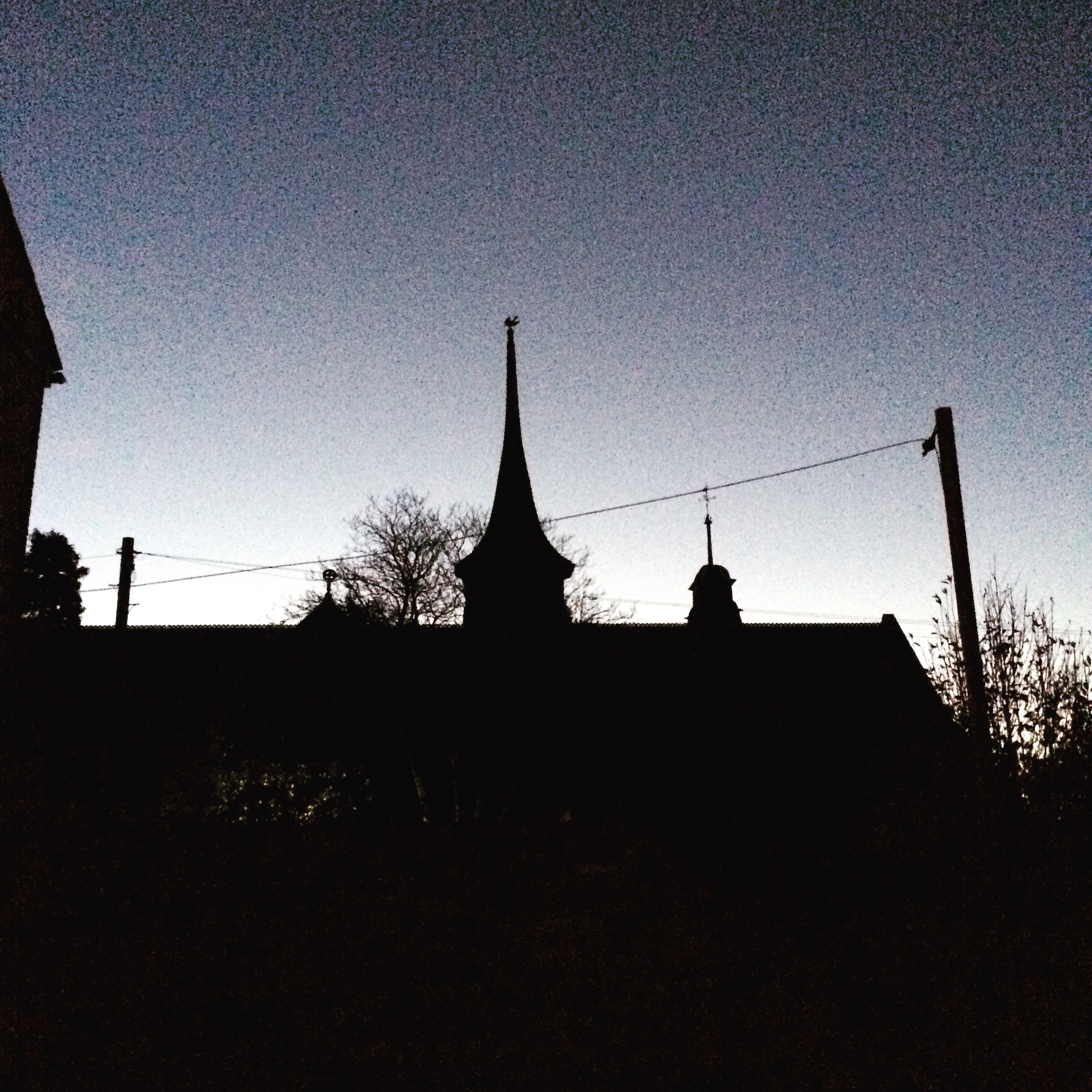 do-what-you-love-bad-advice