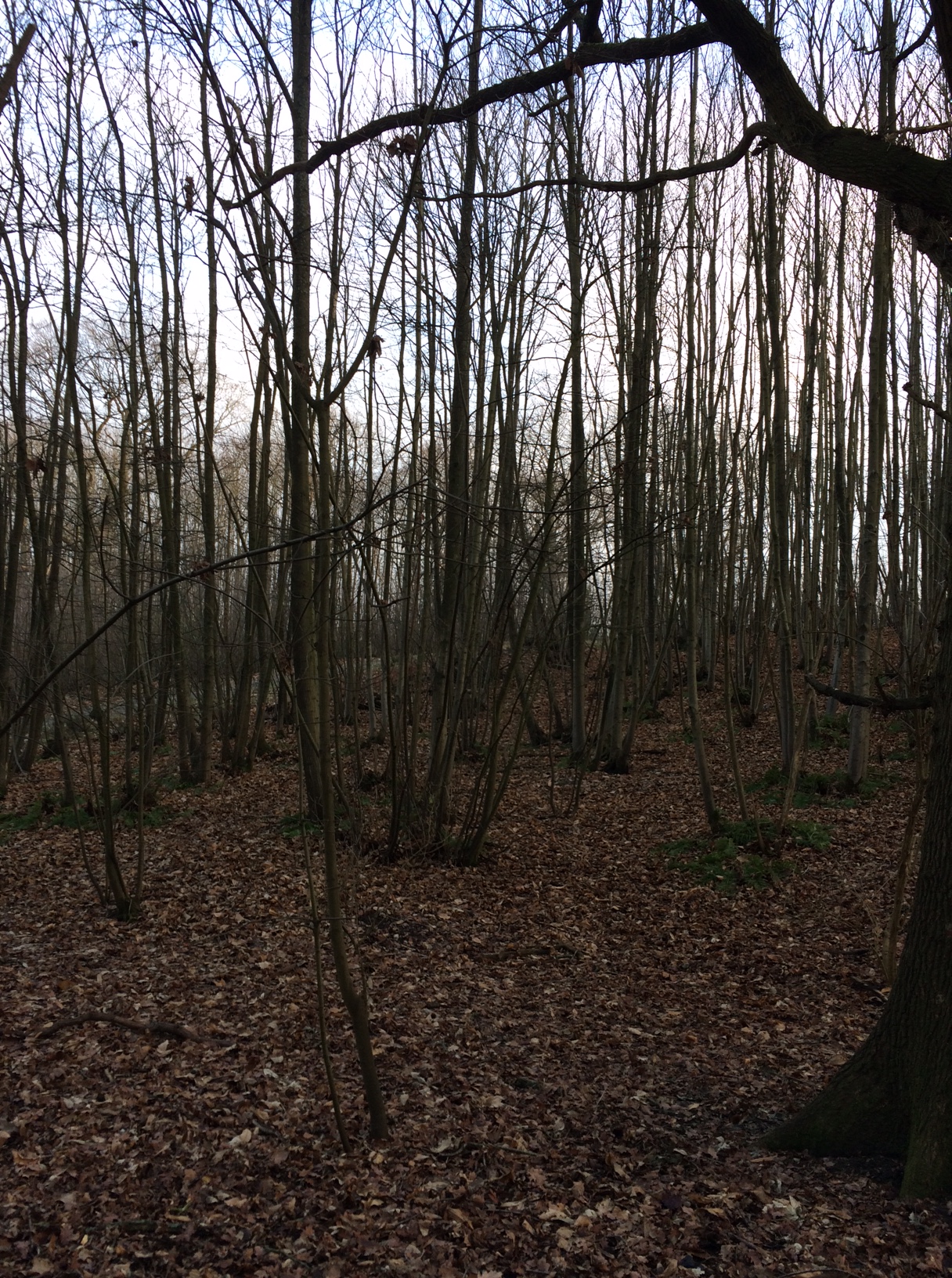 outcome-isnt-always-important