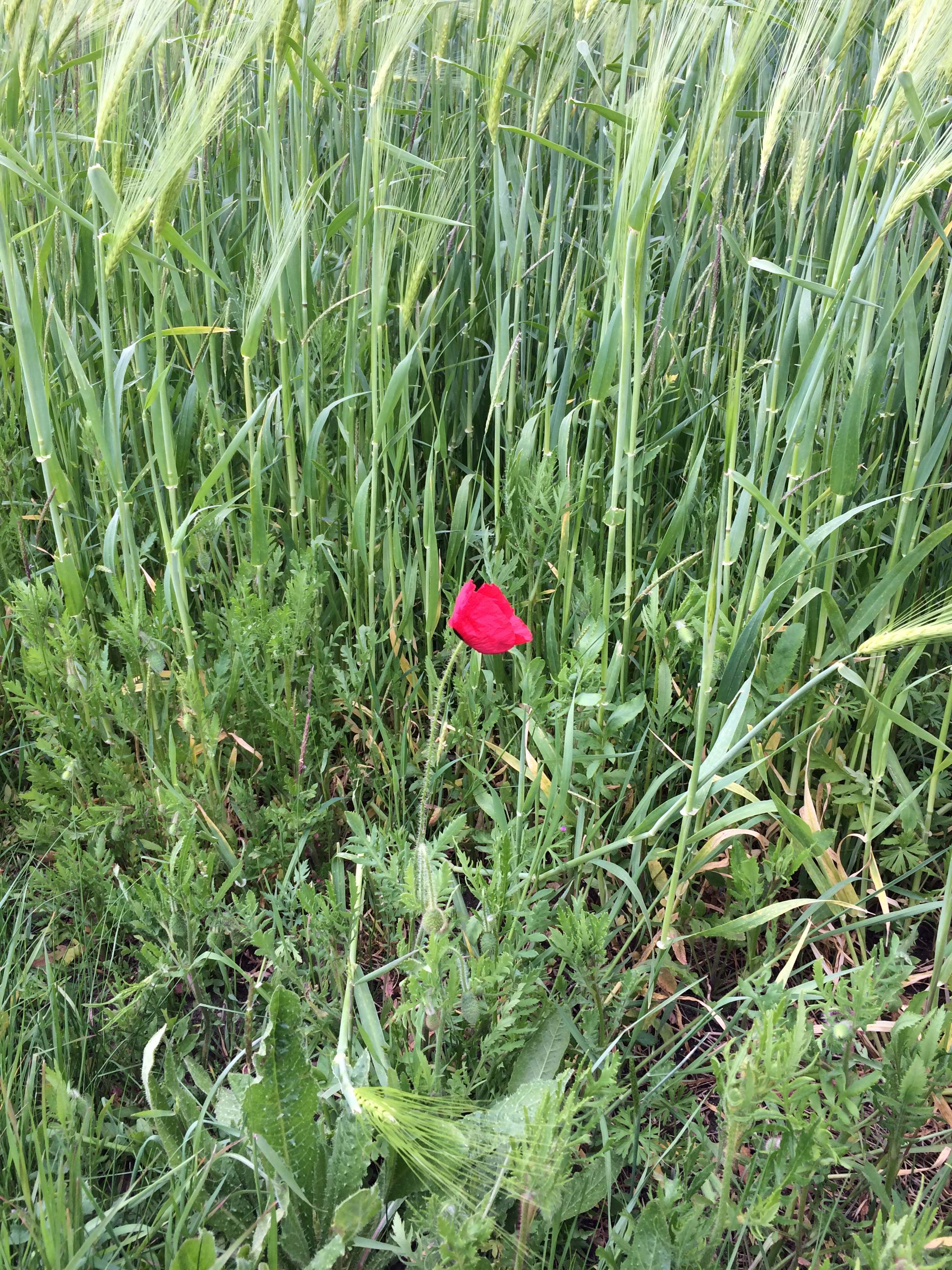 why-size-doesnt-matter