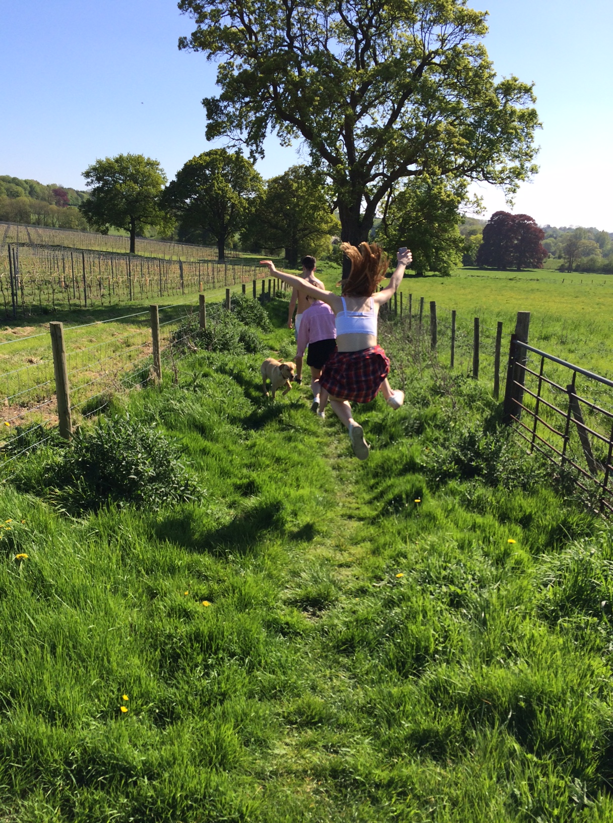 mindfulness-gratutude