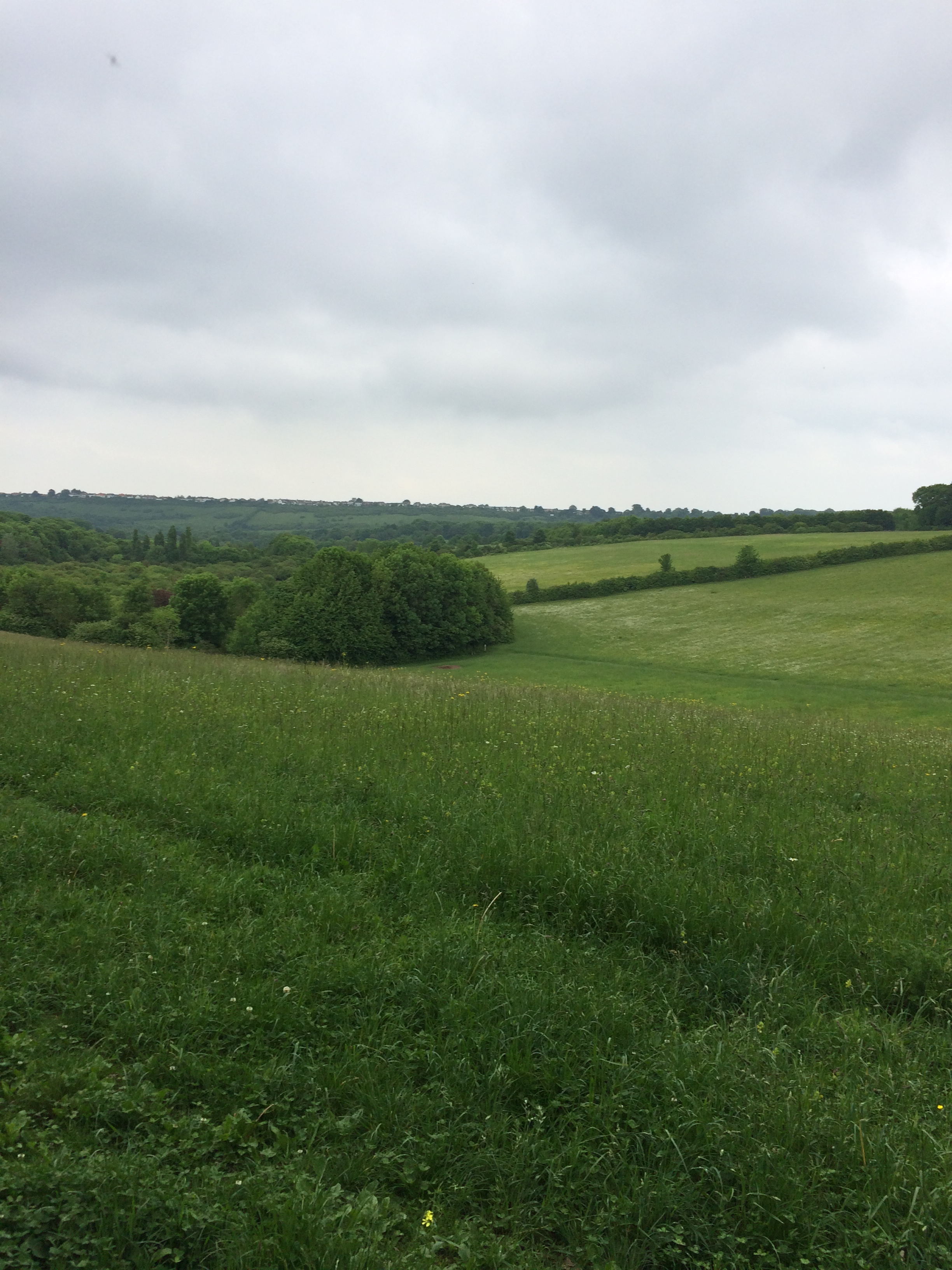 addiction-hidden-victims