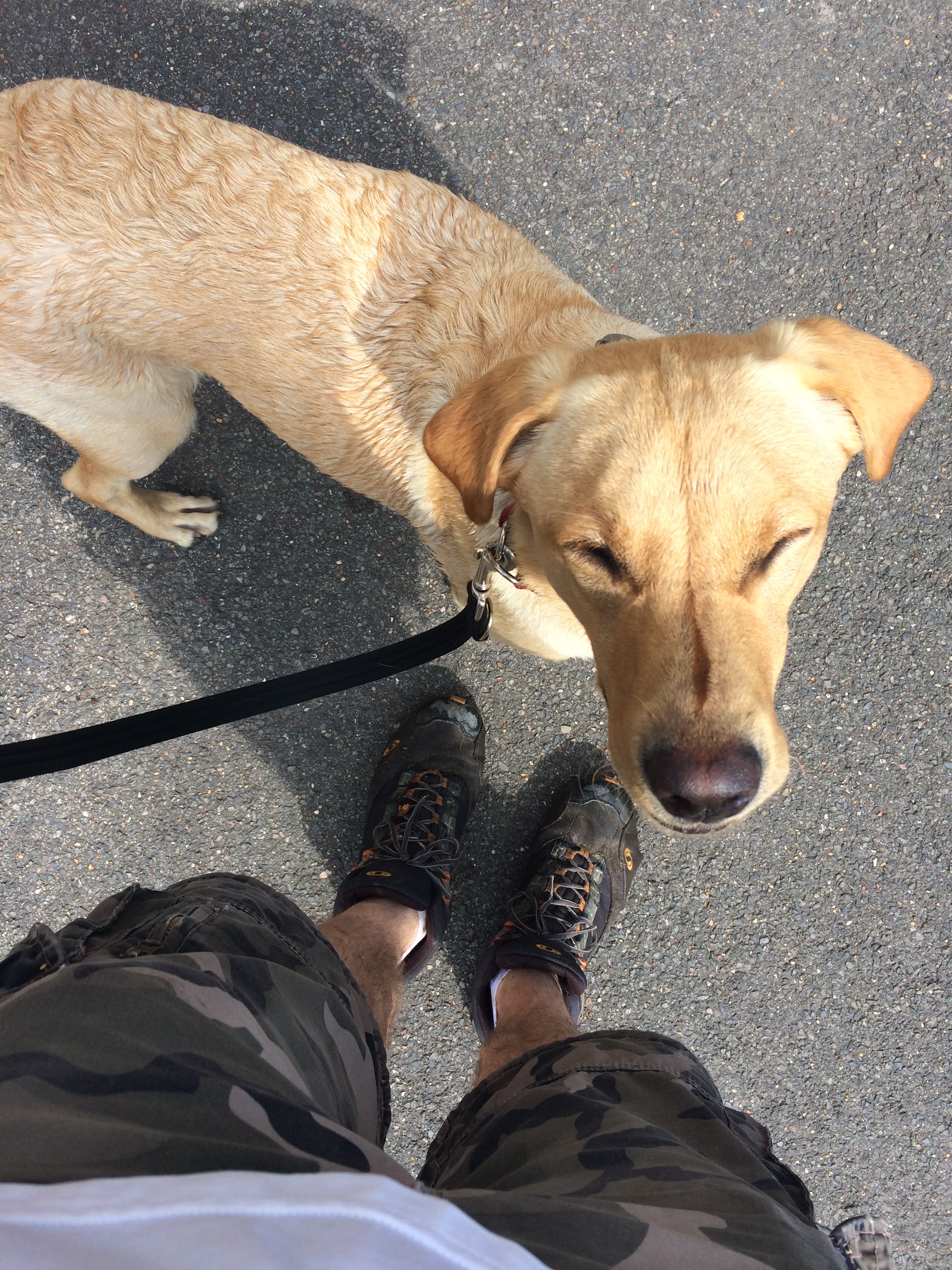 why-ignorance-is-never-bliss