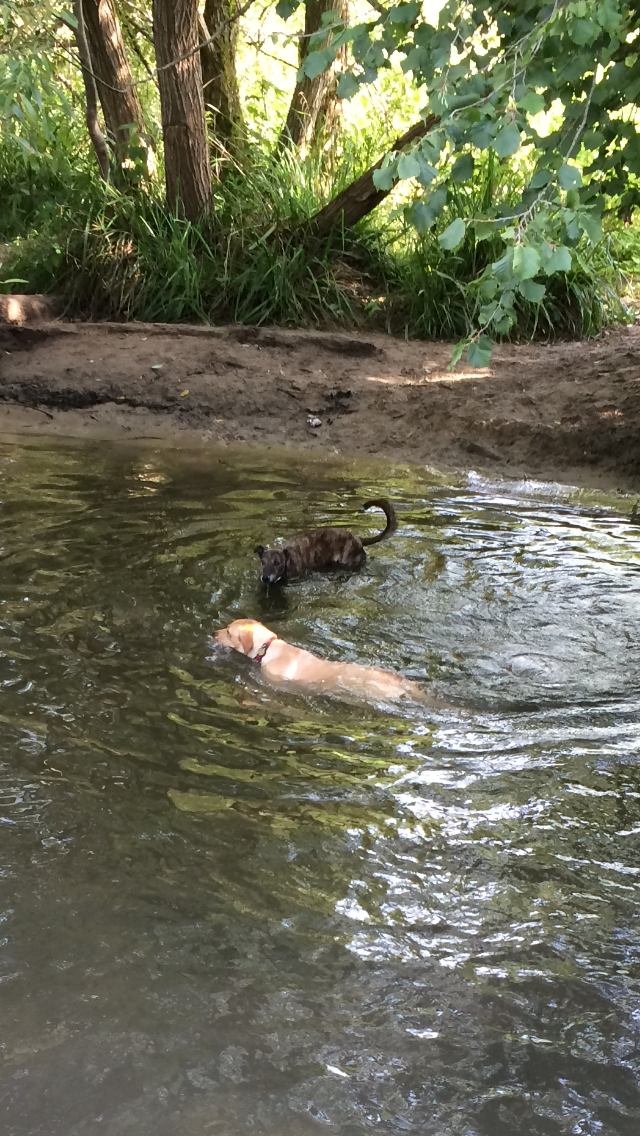 summers-end-reason-for-hope