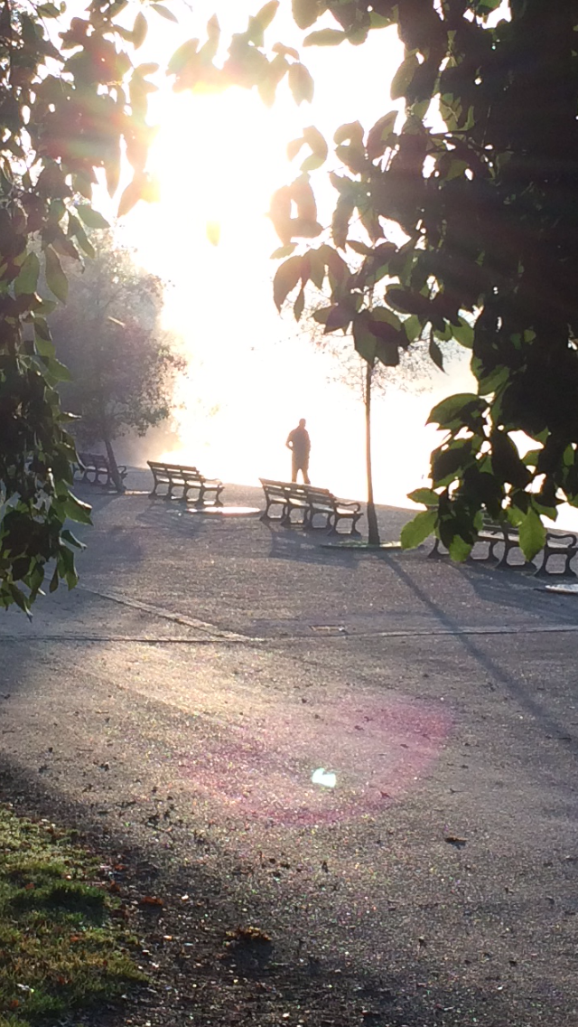 the-reason-you-feel-lonely