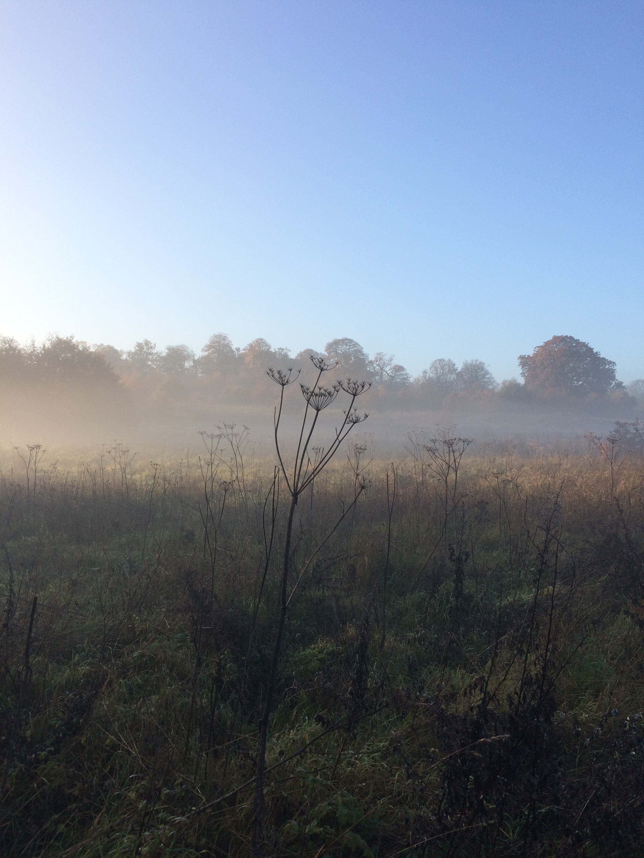 why-you-need-to-let-love-go