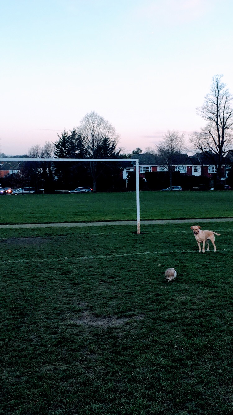 Why-simplicity-helps-achieve-more