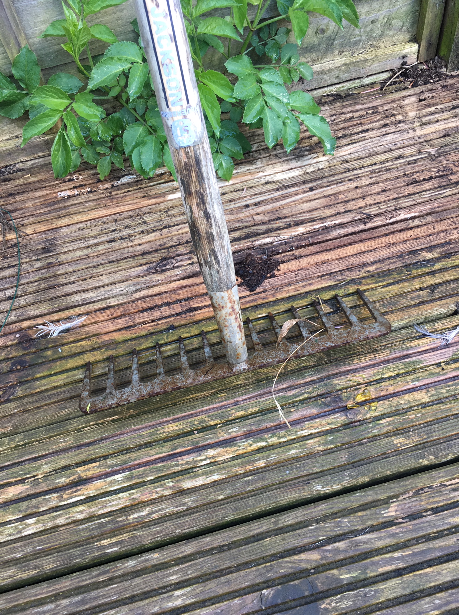 why-shouldnt-guard-against-future