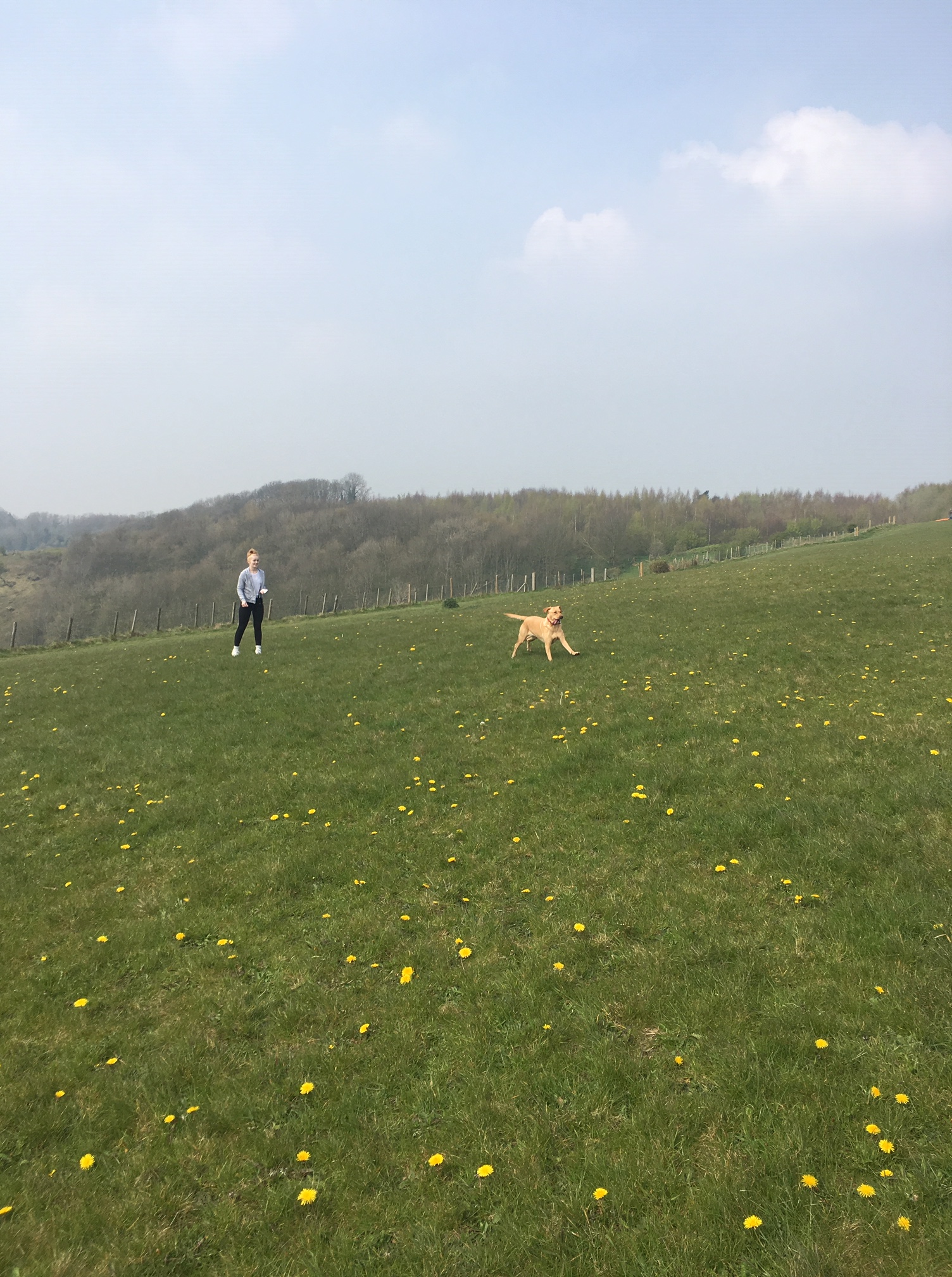 how-to-talk-to-children