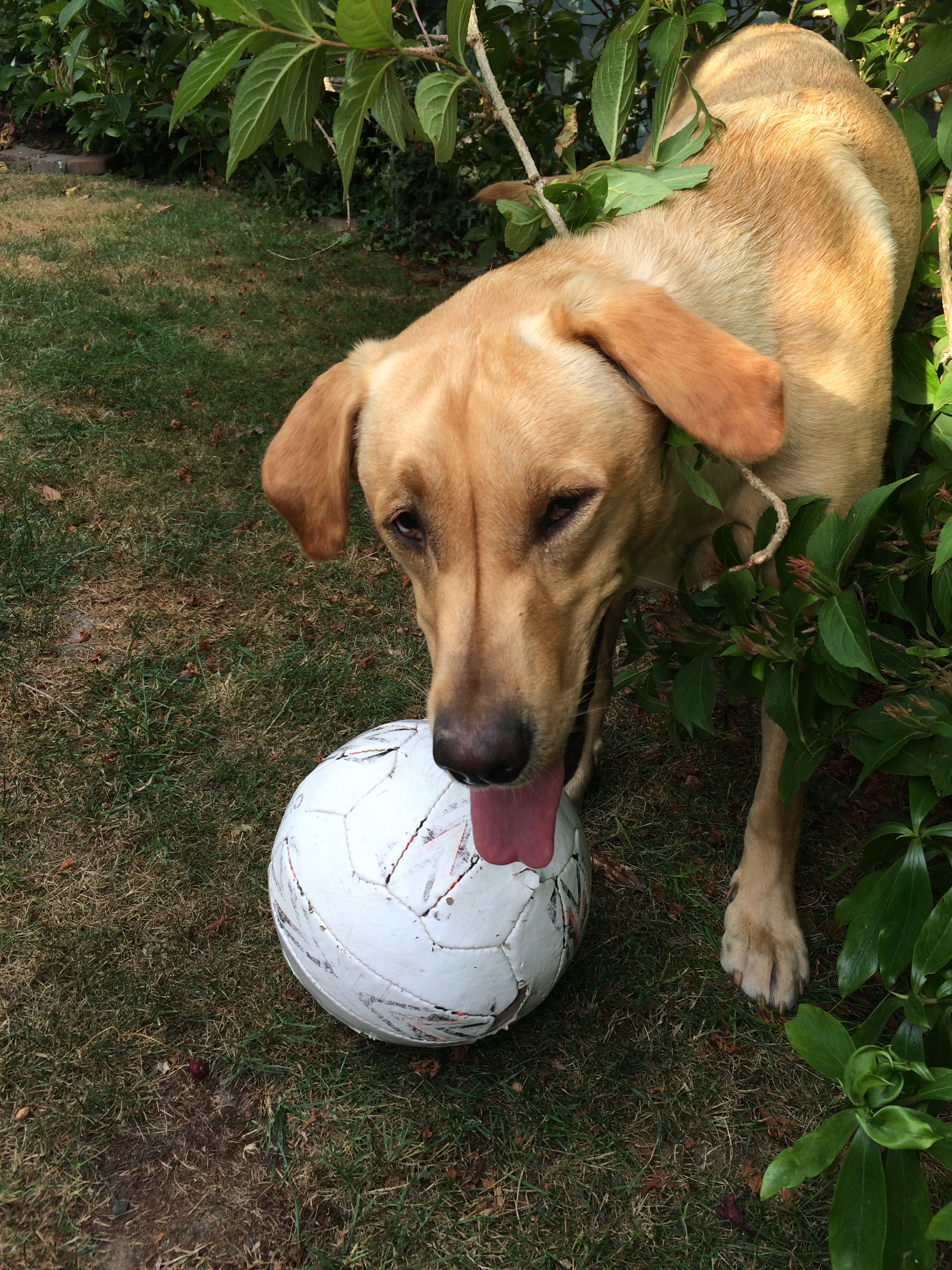 why-measurement-is-waste