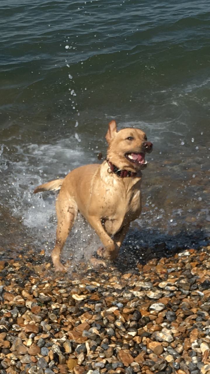 why-its-ok-to-get-old